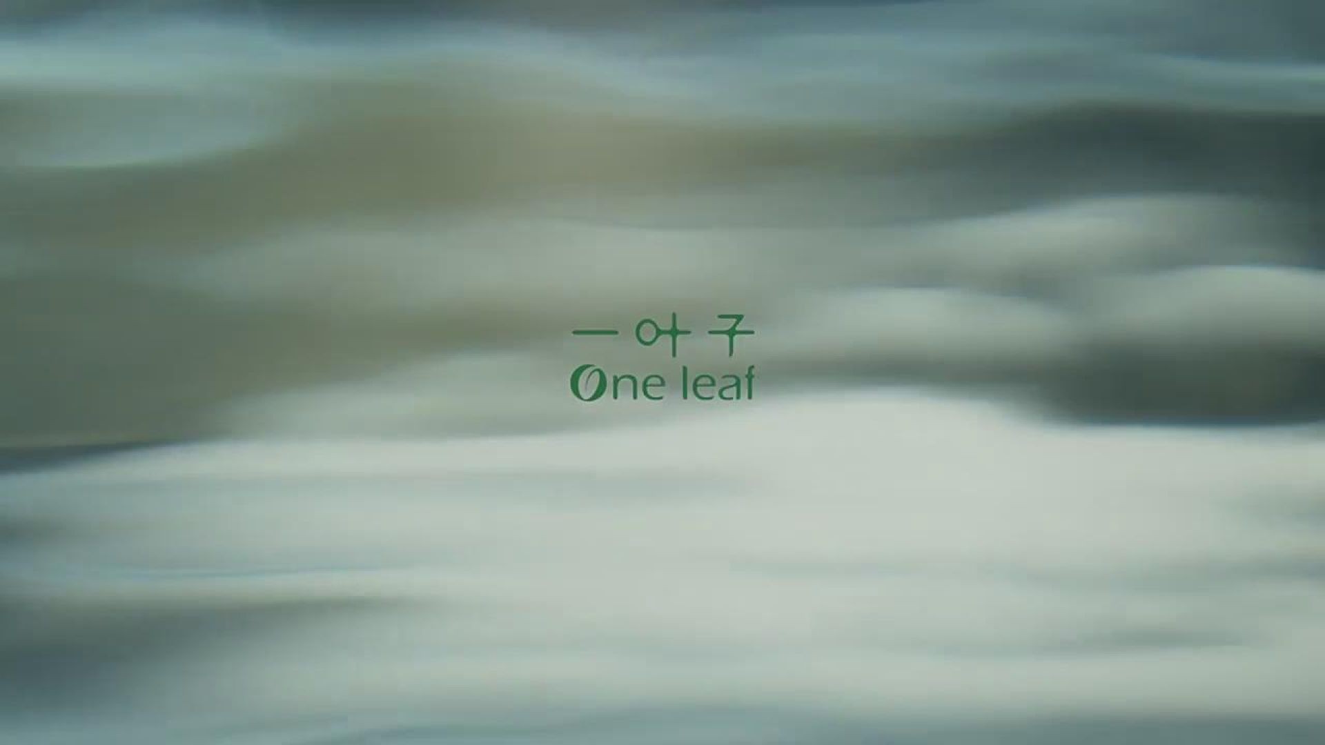 一叶子广告